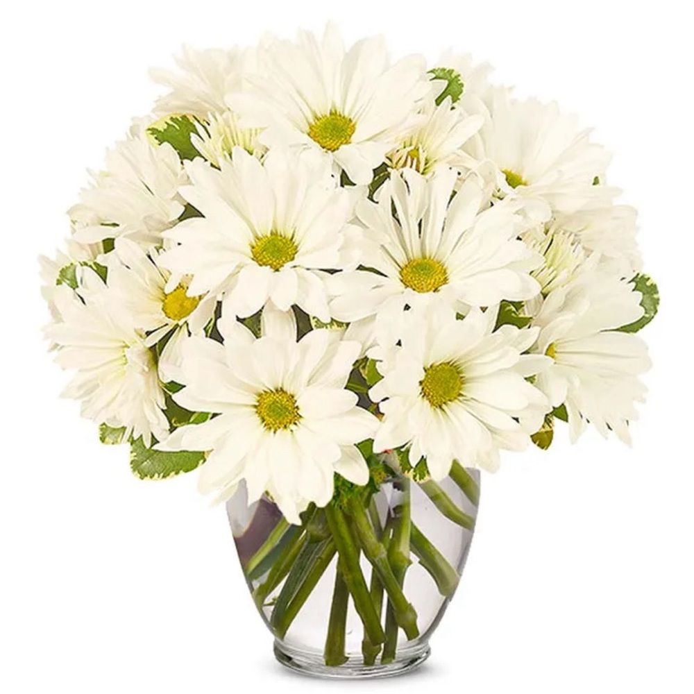 Meet your Posher, Betty